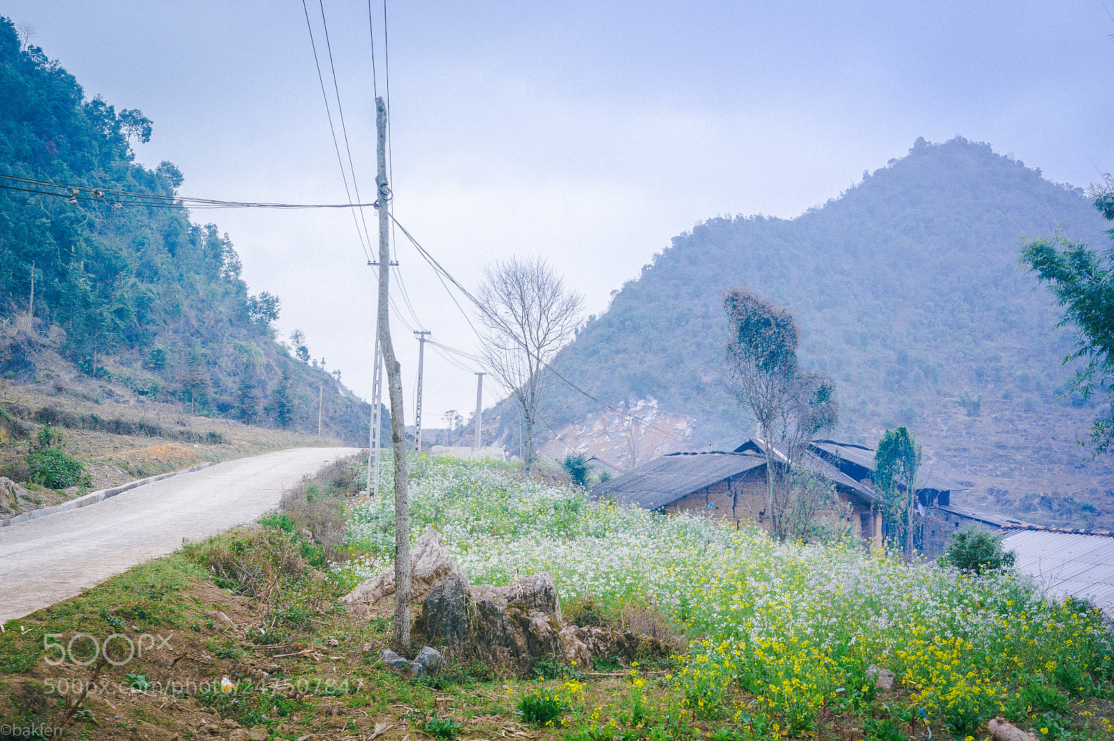 Nikon D700 sample photo. Hagiang2017 photography
