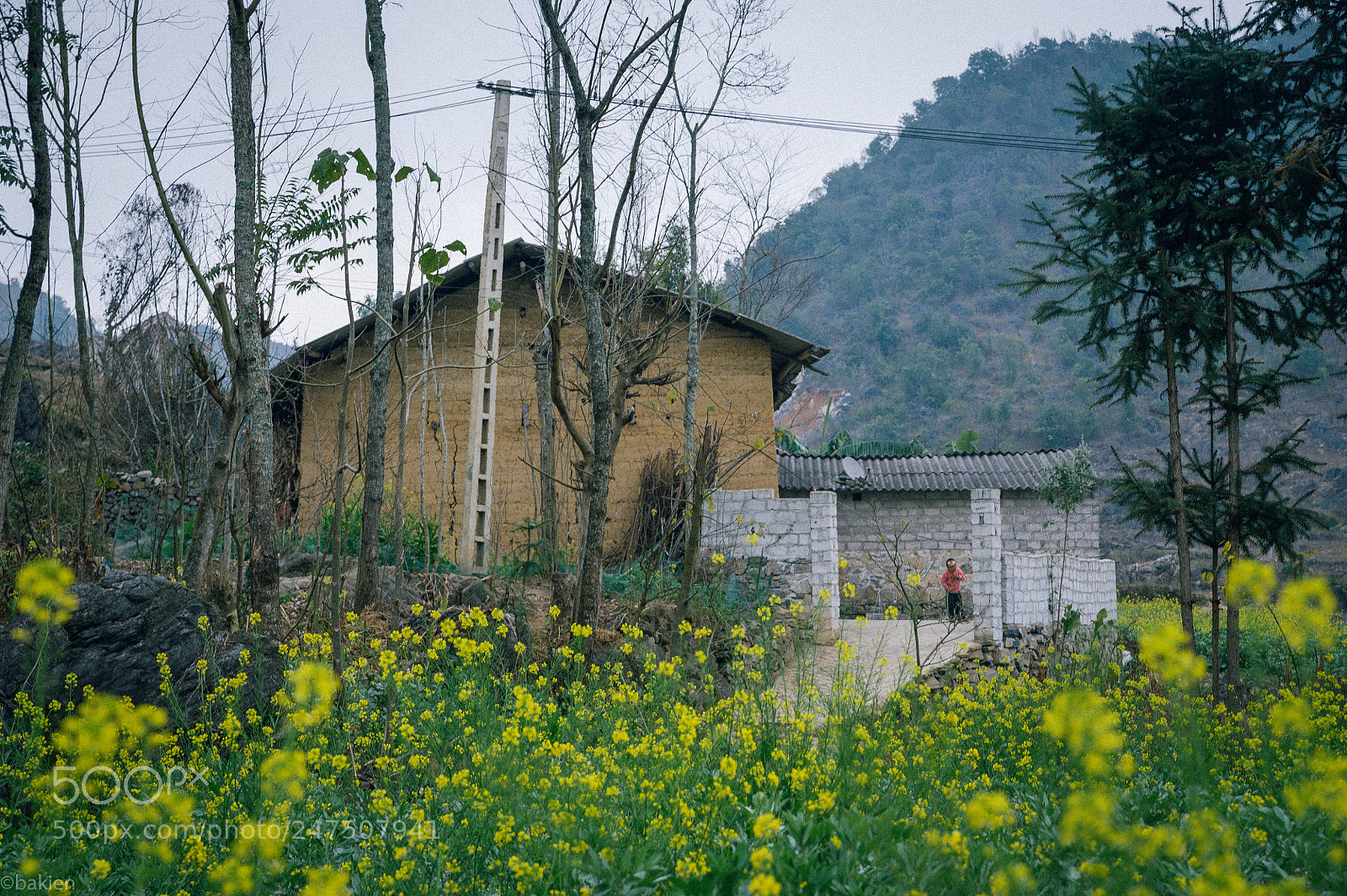 Nikon D700 sample photo. Hagiang2017 photography