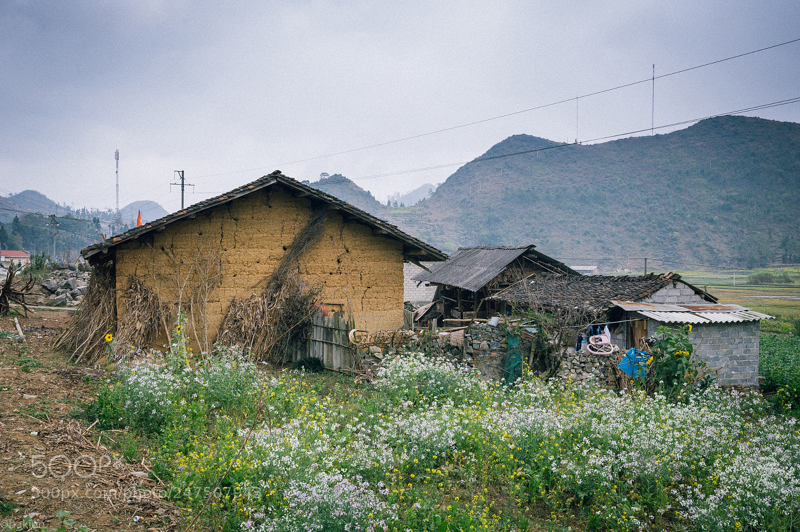 Nikon D700 sample photo. Hagiang2017 photography