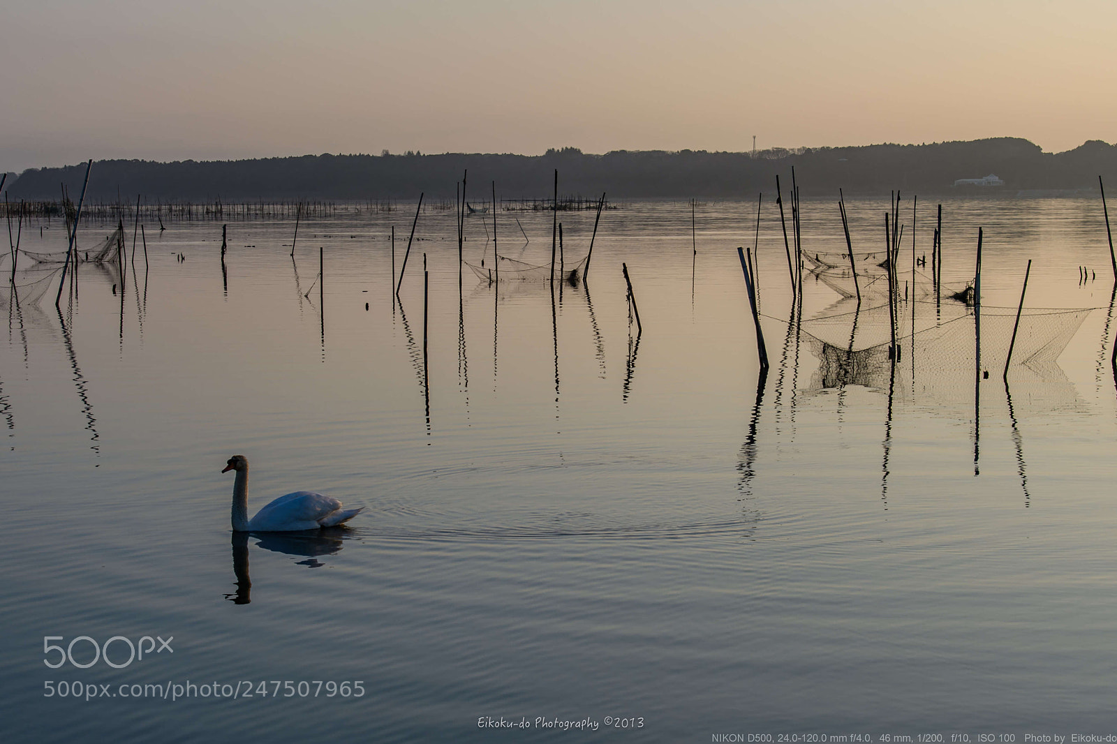 Nikon D500 sample photo. Morning glow photography
