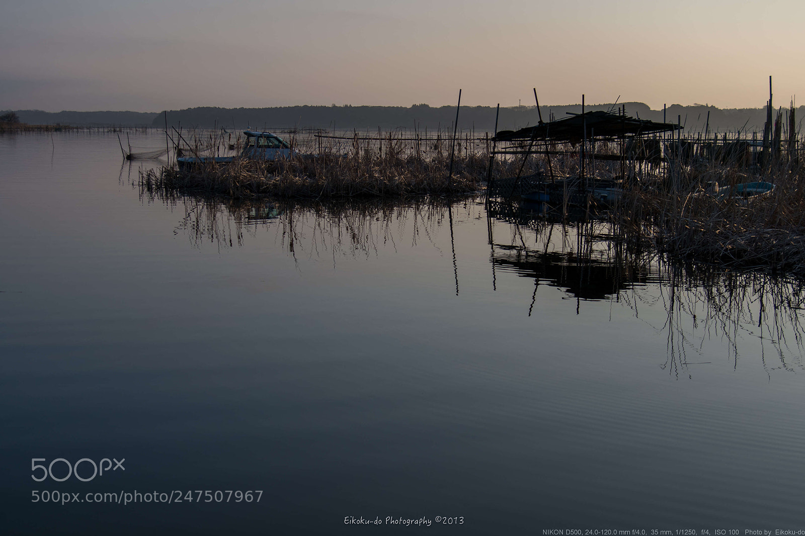 Nikon D500 sample photo. Morning glow photography