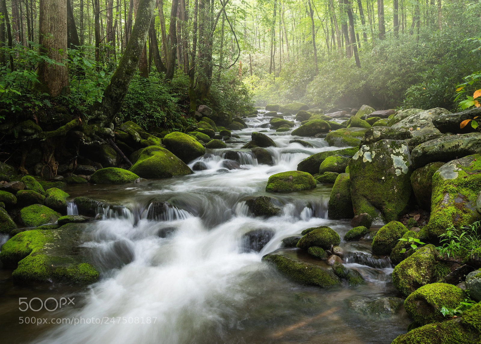 Pentax K-1 sample photo. Waterfall in tennessee photography