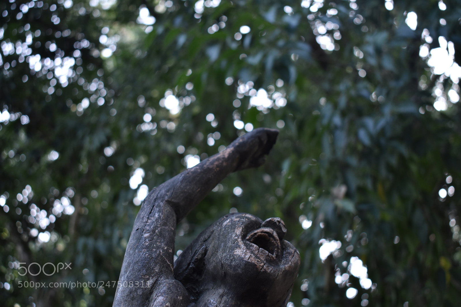 Nikon D3400 sample photo. Untitled photography