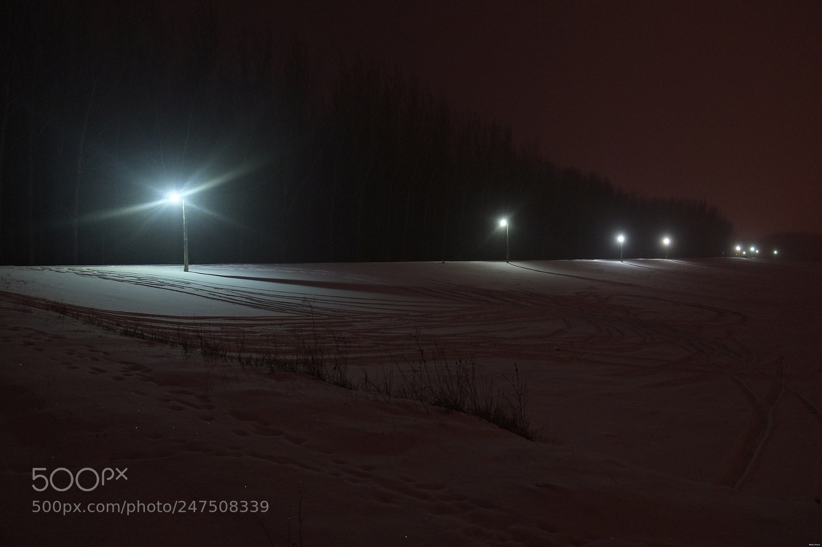 Fujifilm X-E1 sample photo. Let it snow photography