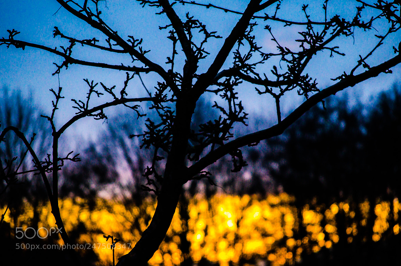 Nikon D5100 sample photo. Evening athmosphere photography