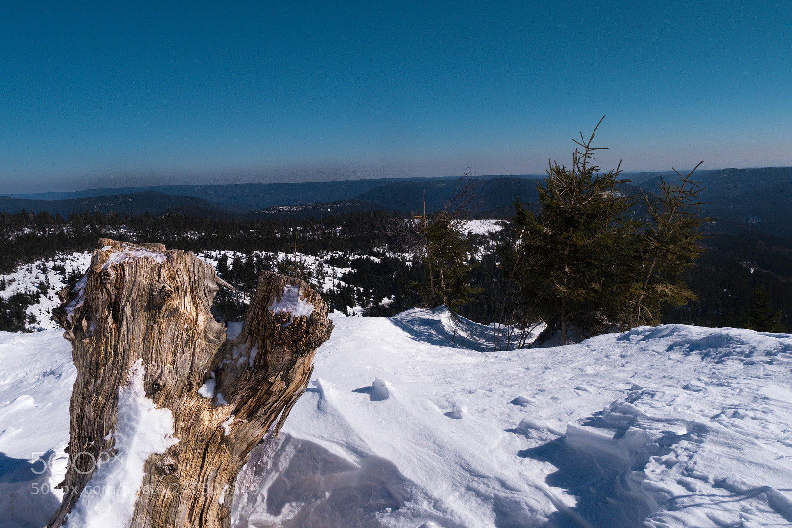 Panasonic Lumix DMC-G6 sample photo. Schwarzwald photography