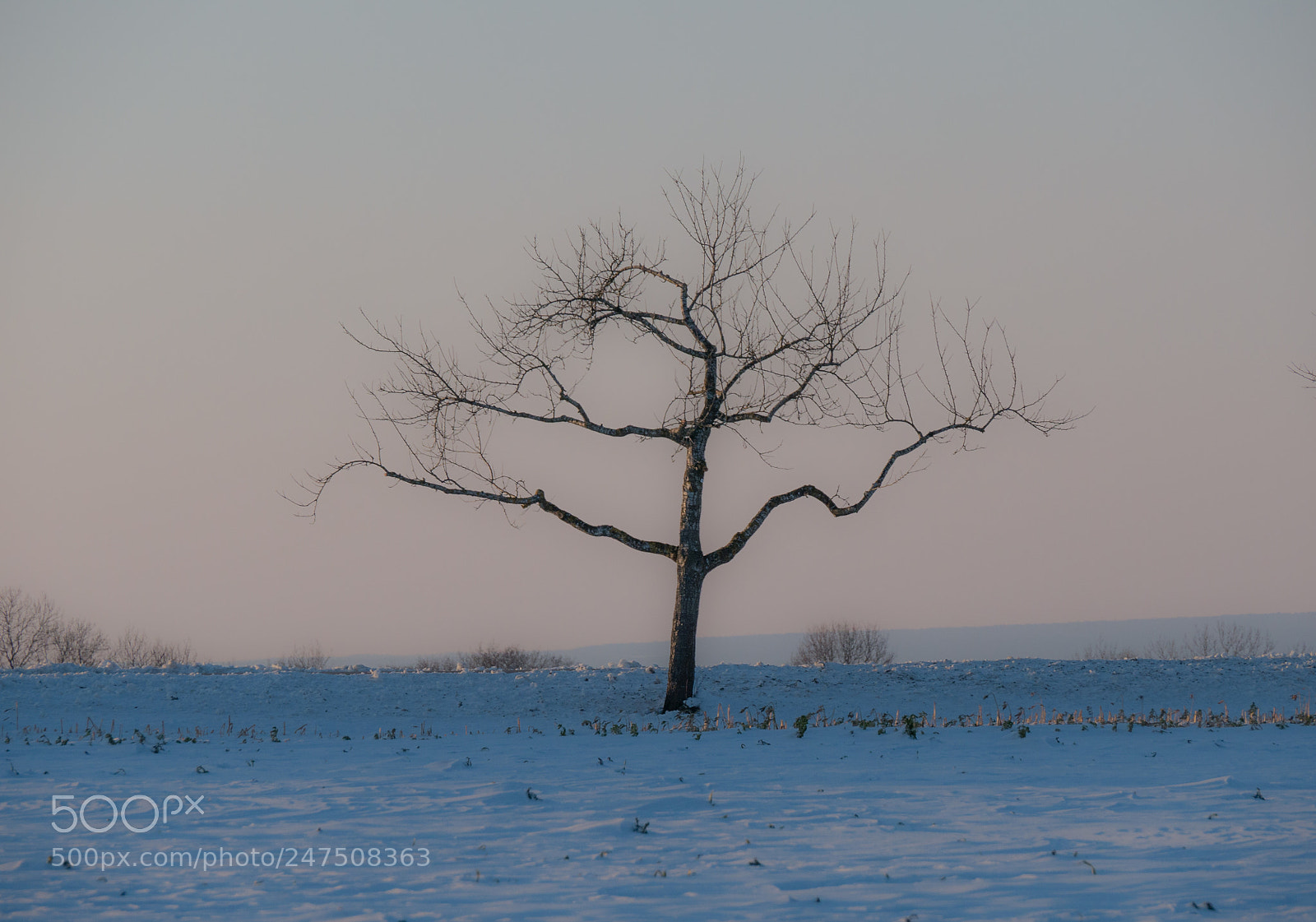 Panasonic DMC-G70 sample photo. Winter silhouette photography