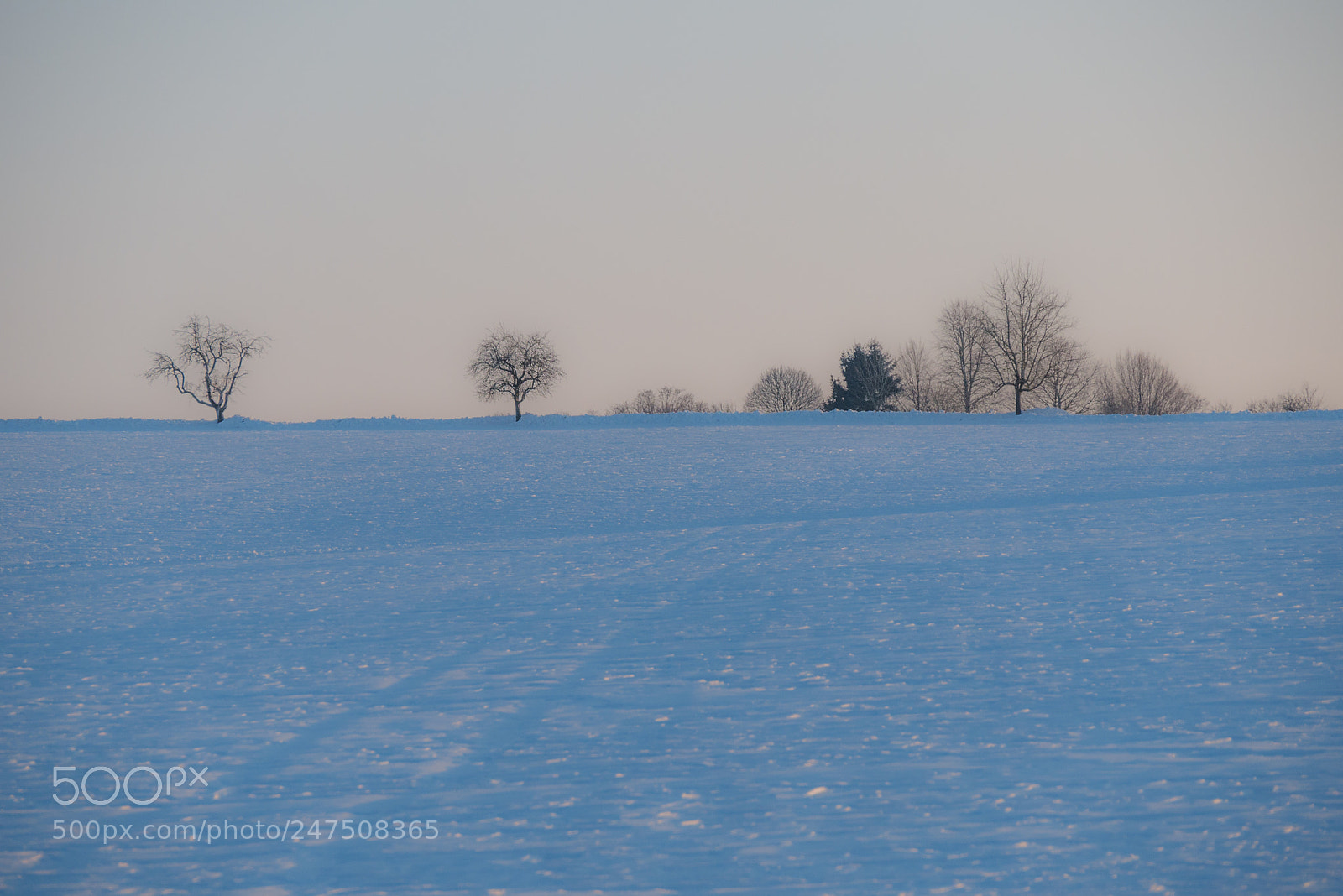 Panasonic DMC-G70 sample photo. Winter silhouette photography