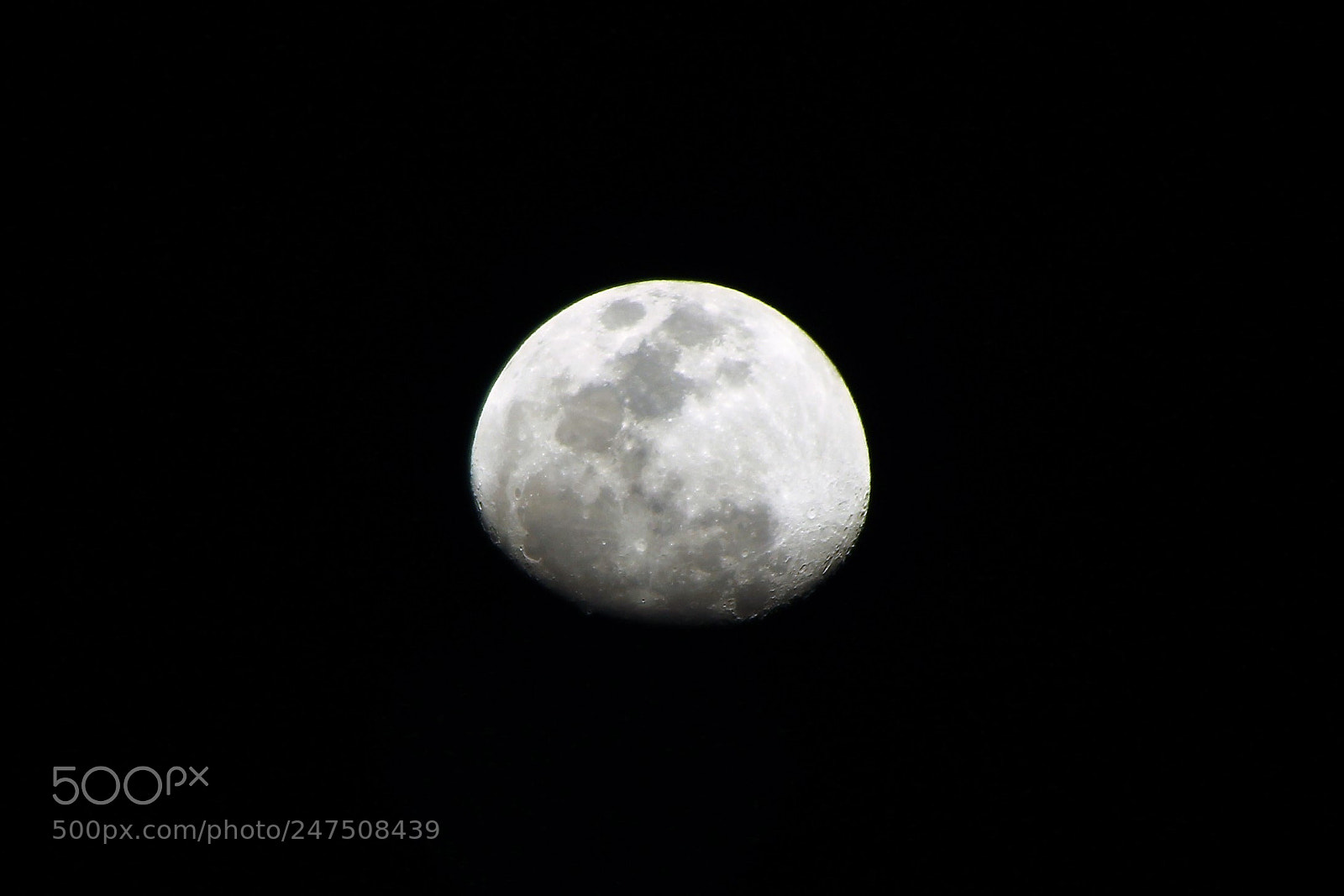 Canon EOS 1300D (EOS Rebel T6 / EOS Kiss X80) sample photo. Quarter moon photography
