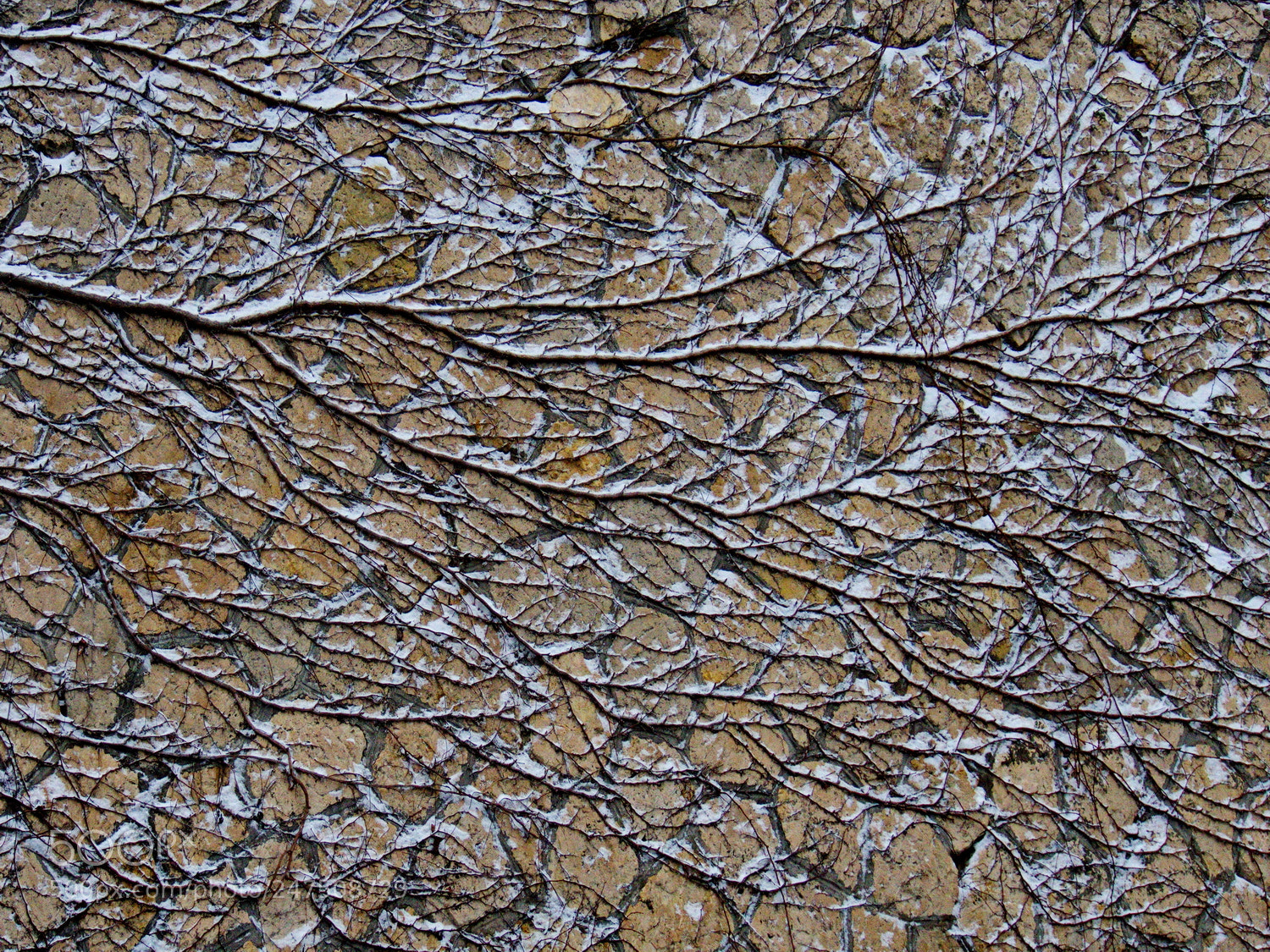 Olympus OM-D E-M10 II sample photo. A wintry graffiti photography