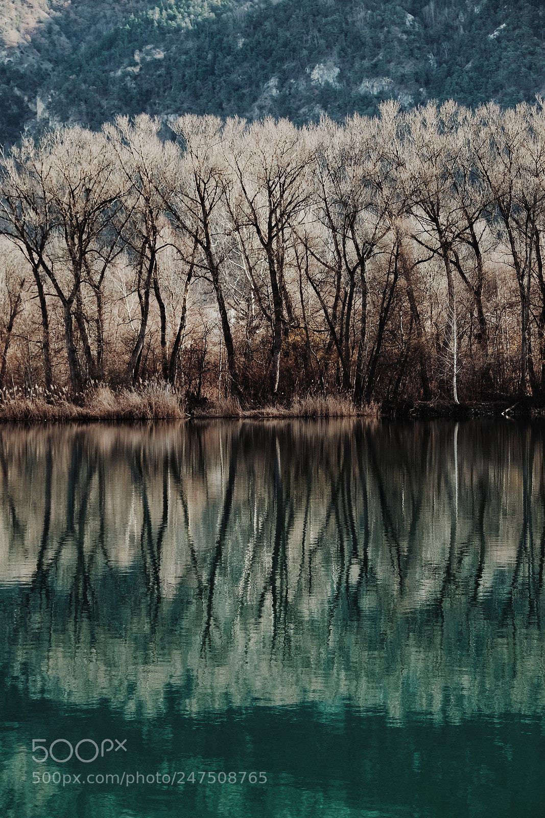 Fujifilm X-E2 sample photo. Reflection photography