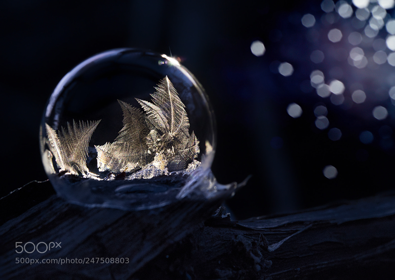 Nikon D810 sample photo. Frozen bubble photography
