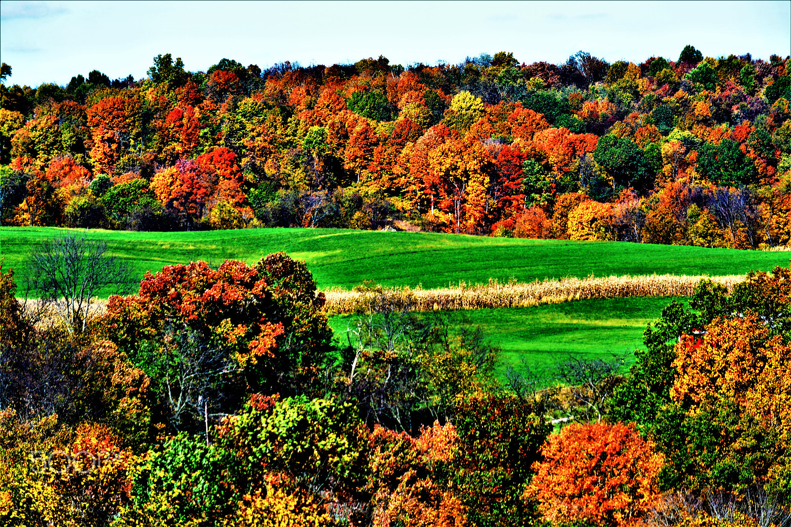 Nikon D5200 sample photo. Autumn bliss photography