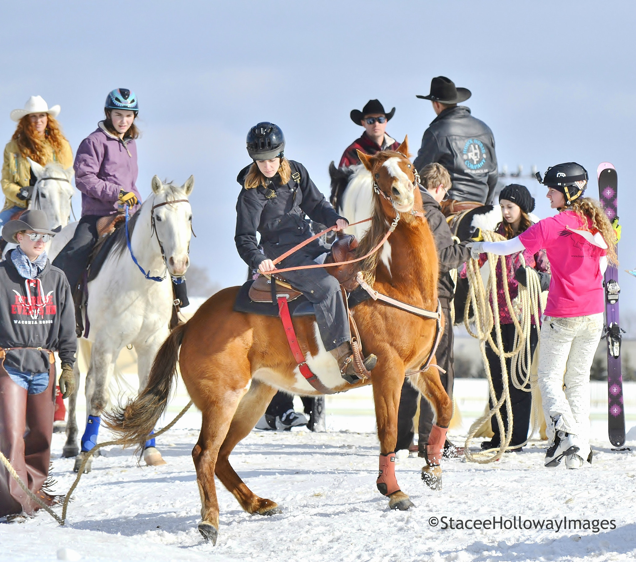 Nikon D3100 sample photo. Skijoring in minnesota - canterbury park photography