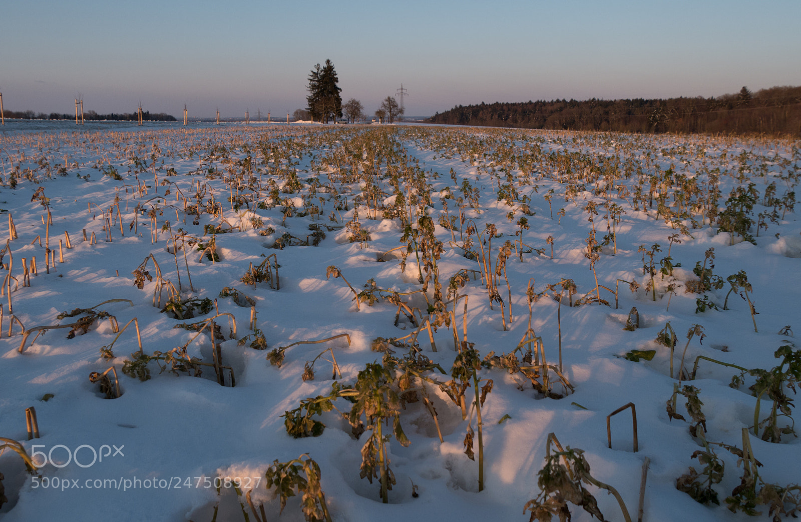 Panasonic DMC-G70 sample photo. Winter on countryside photography