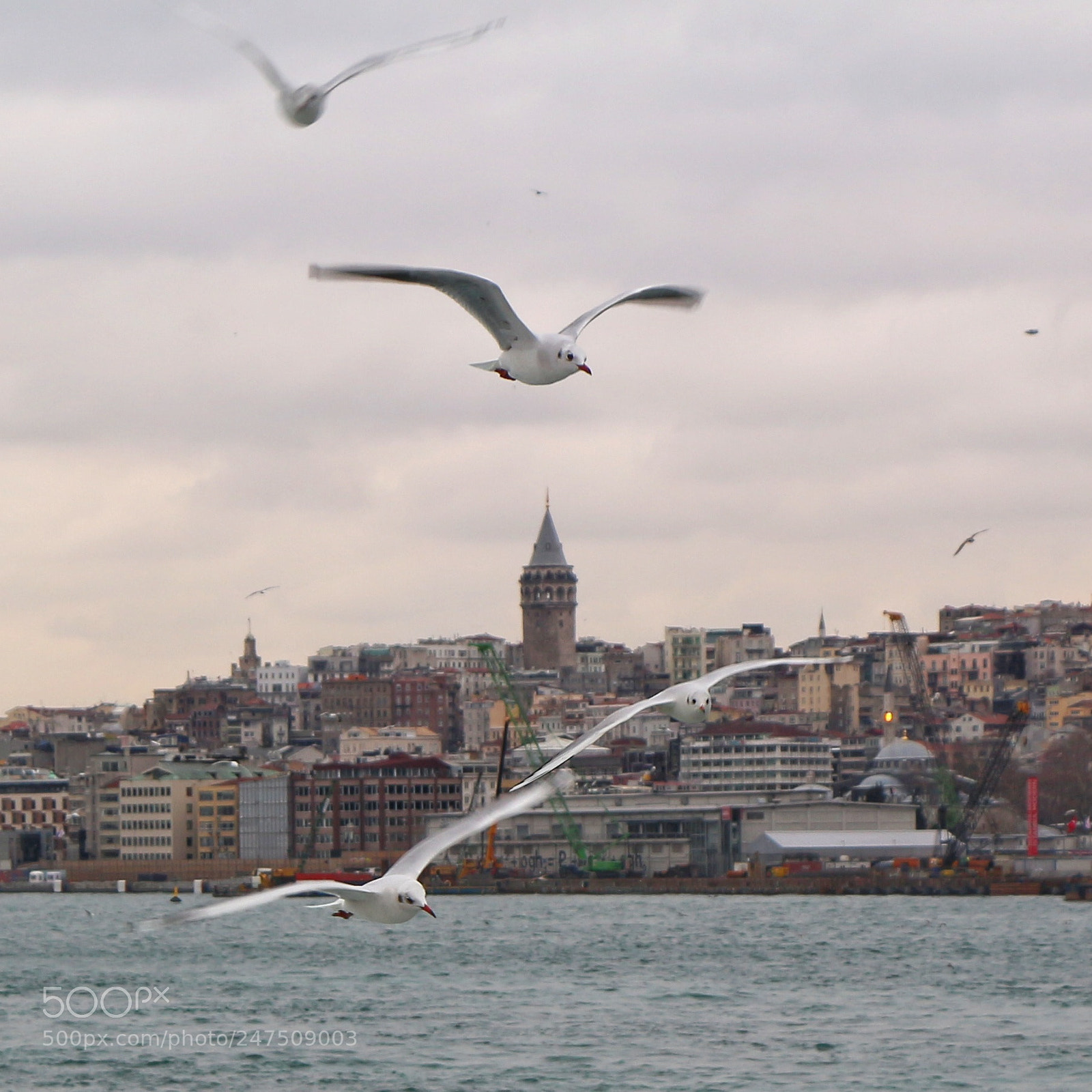 Canon EOS 700D (EOS Rebel T5i / EOS Kiss X7i) sample photo. Galata tower photography