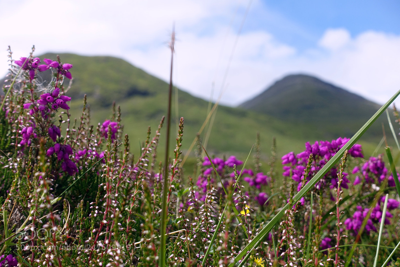 Sony Cyber-shot DSC-RX100 III sample photo. Hiking in scotland photography
