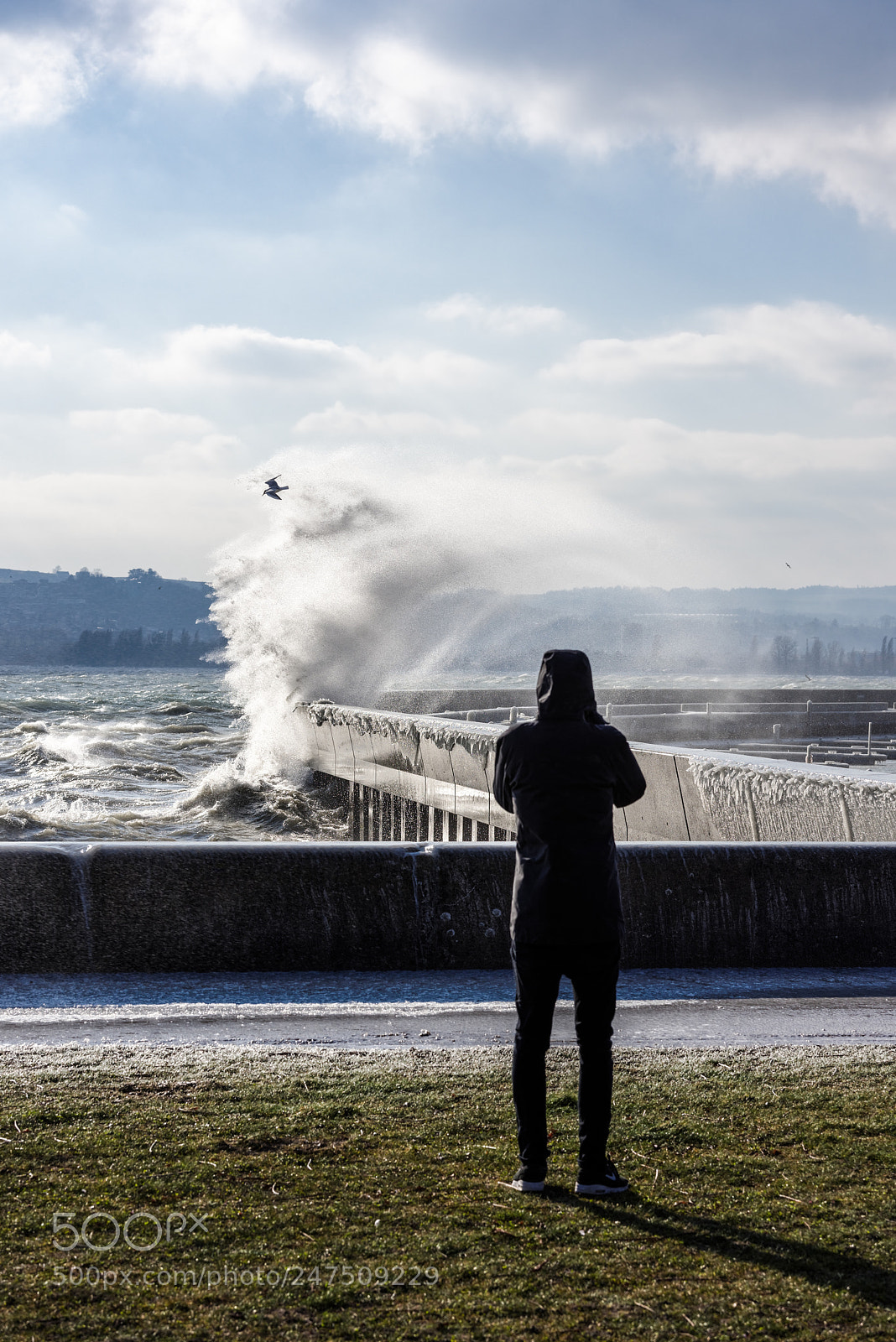 Nikon D810 sample photo. Cold wind photography