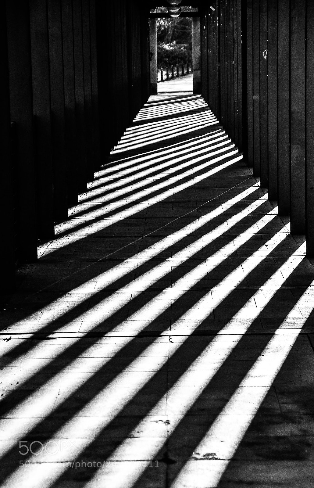 Nikon D500 sample photo. El pasillo photography