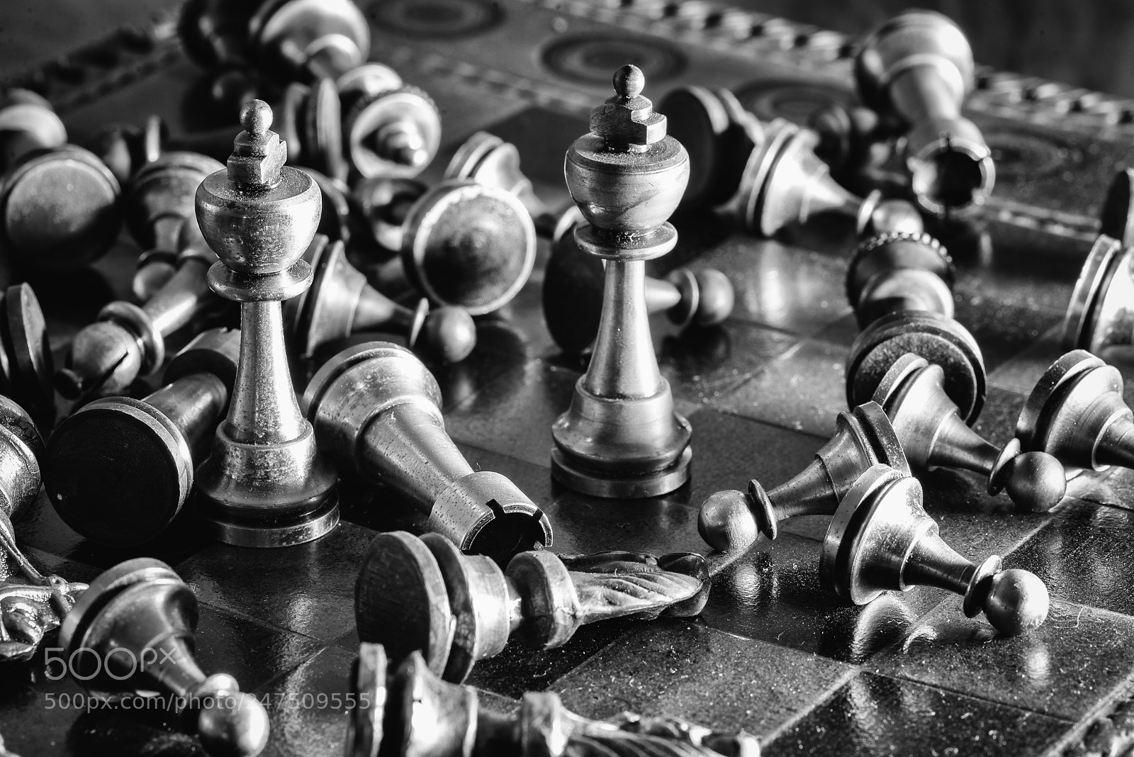 Nikon D610 sample photo. Untitled photography
