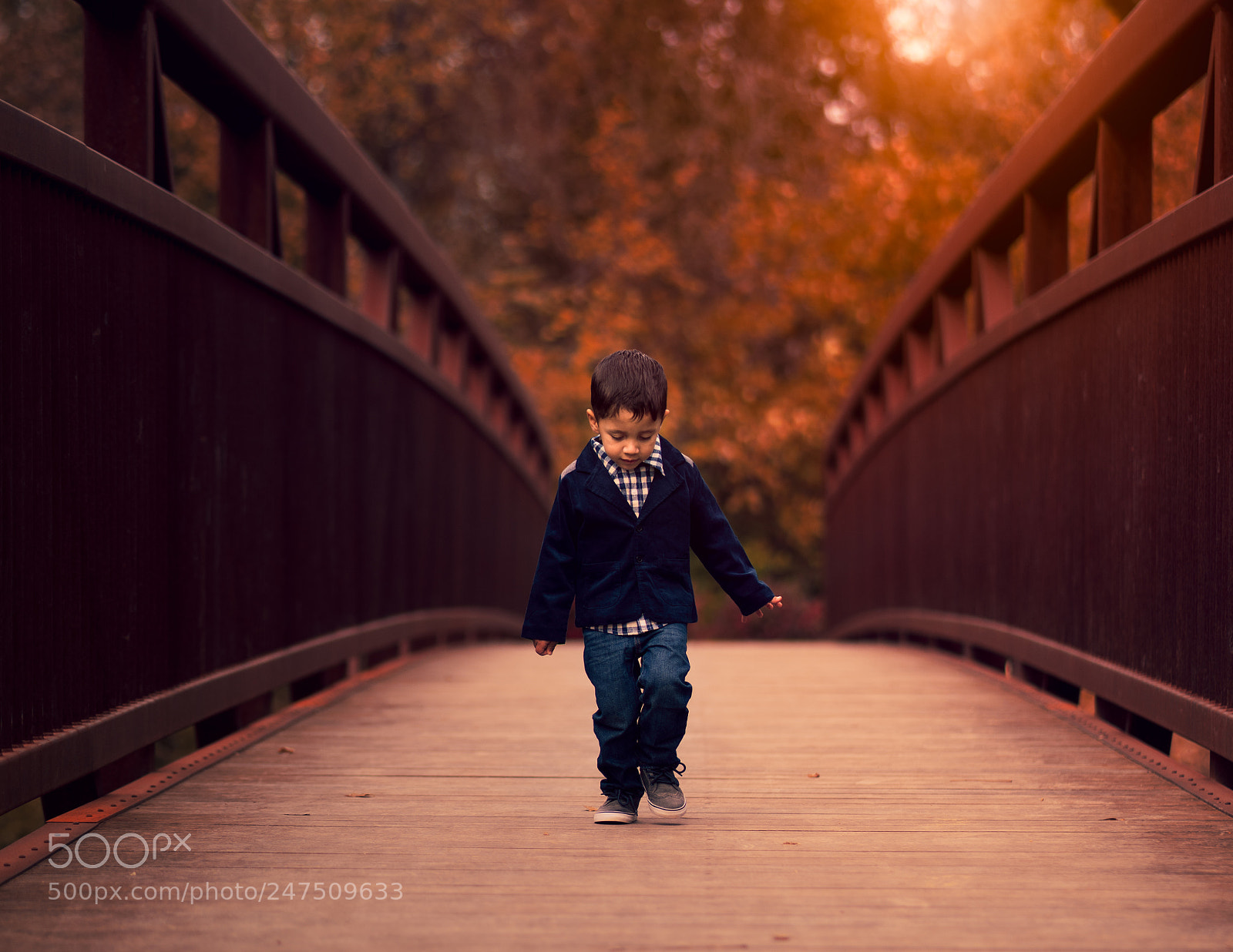 Sony a7R II sample photo. Untitled photography