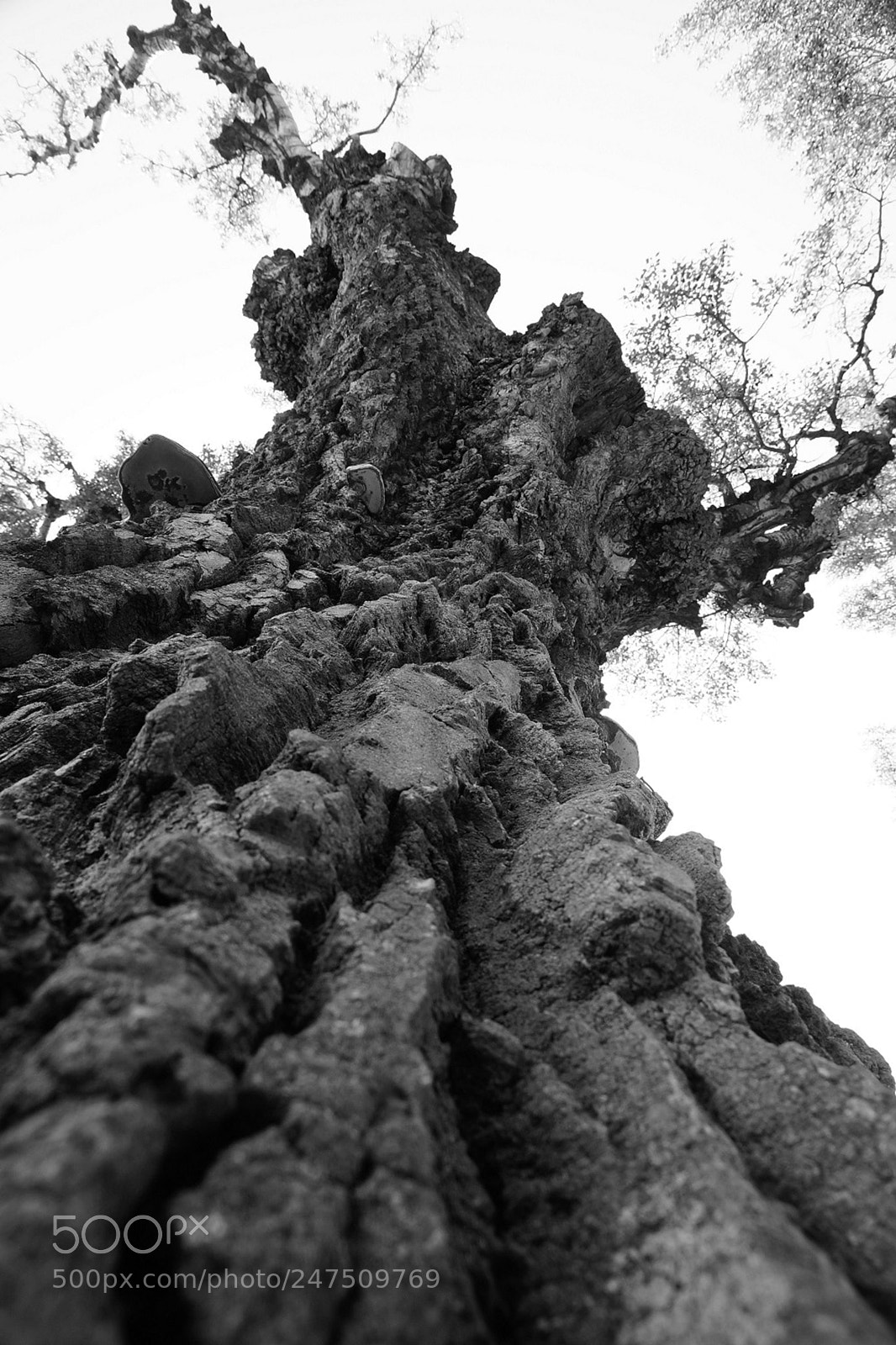 Sony SLT-A77 sample photo. En avignon photography