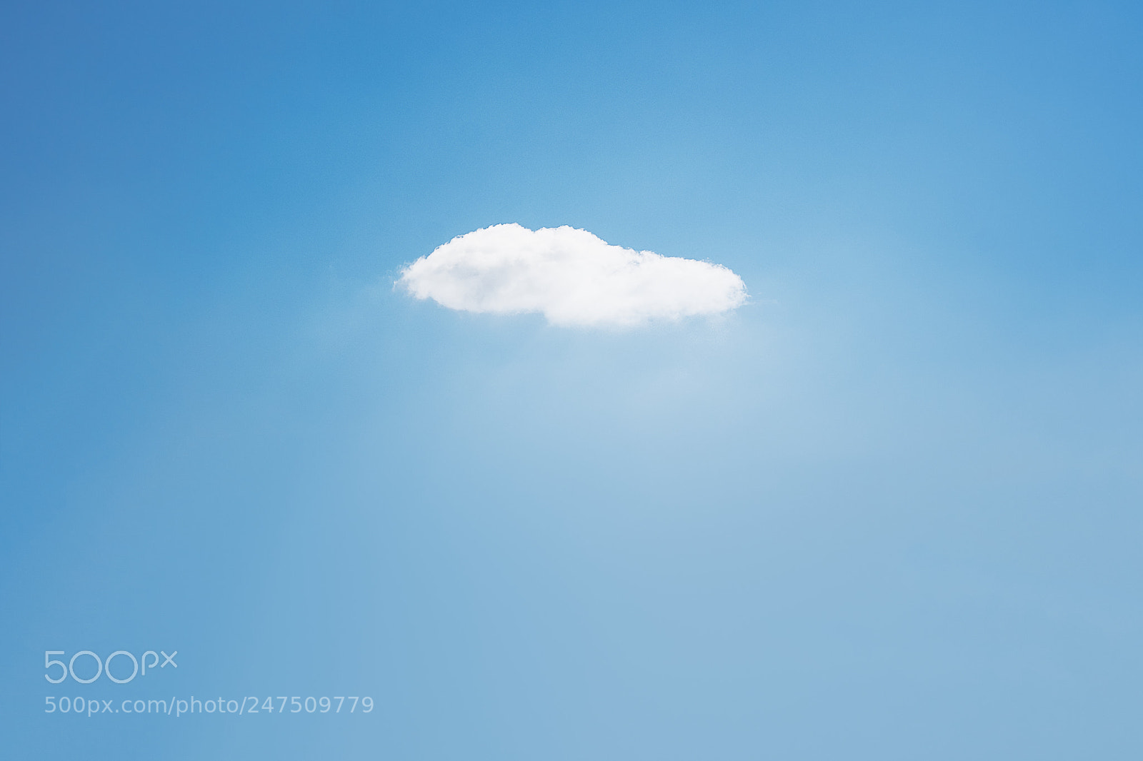 Sony a7R II sample photo. Day fifty seven photography