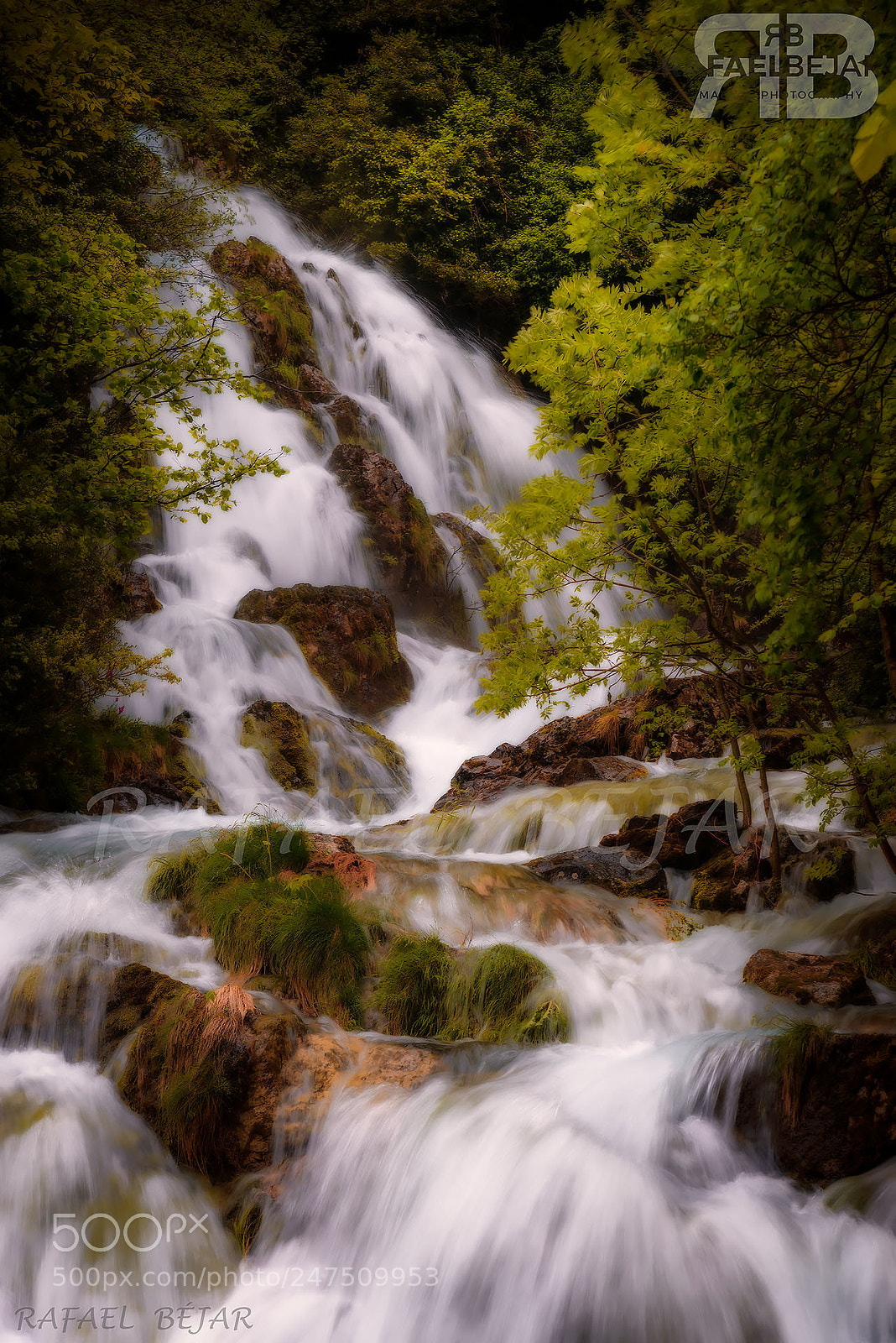 Nikon D800 sample photo. Cascada photography