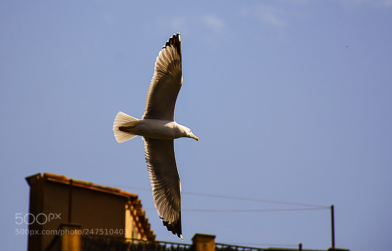Nikon D7200 sample photo. Vuelo sobre girona photography