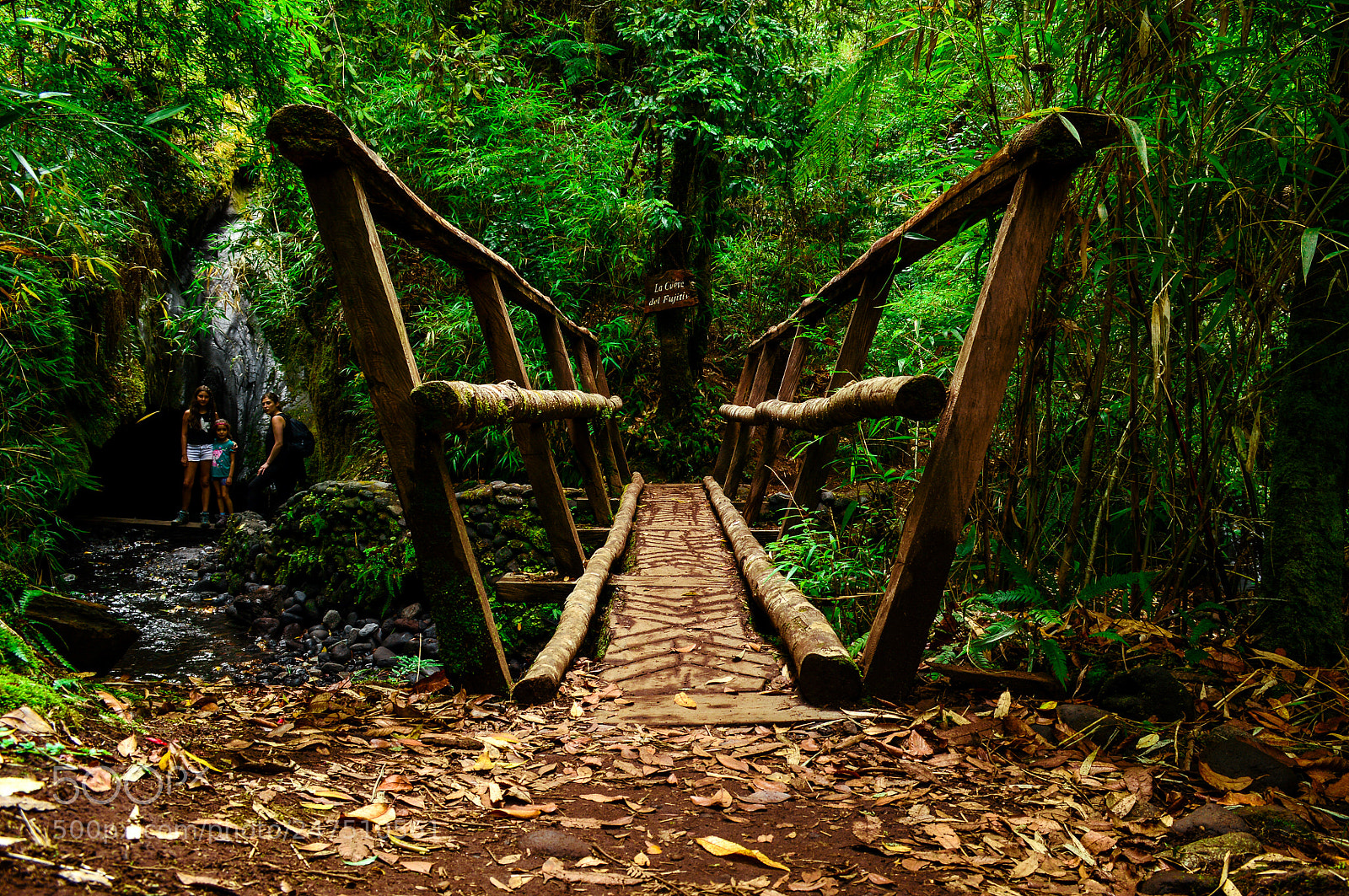 Nikon D3200 sample photo. Wooden magical bridge photography