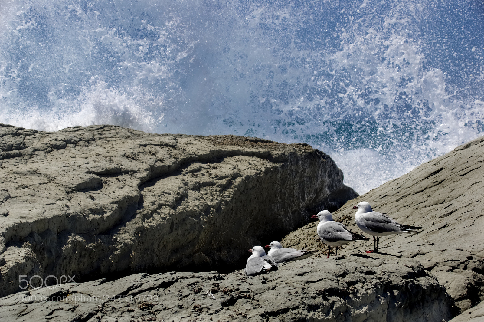 Pentax K-3 II sample photo. Sunbathing photography