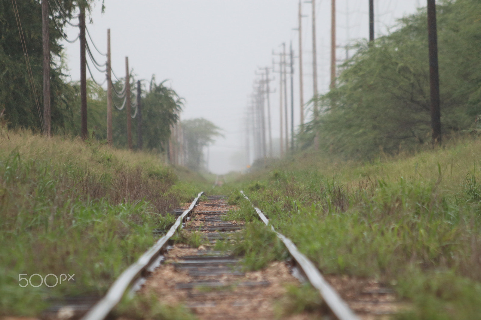 Canon EOS M5 sample photo. Hawaiian railroad photography