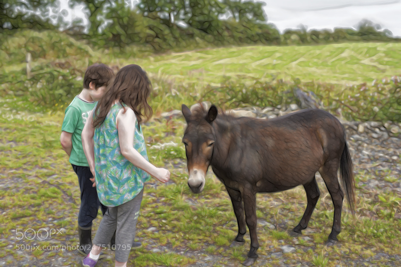 Nikon D810 sample photo. Kids with donkey photography