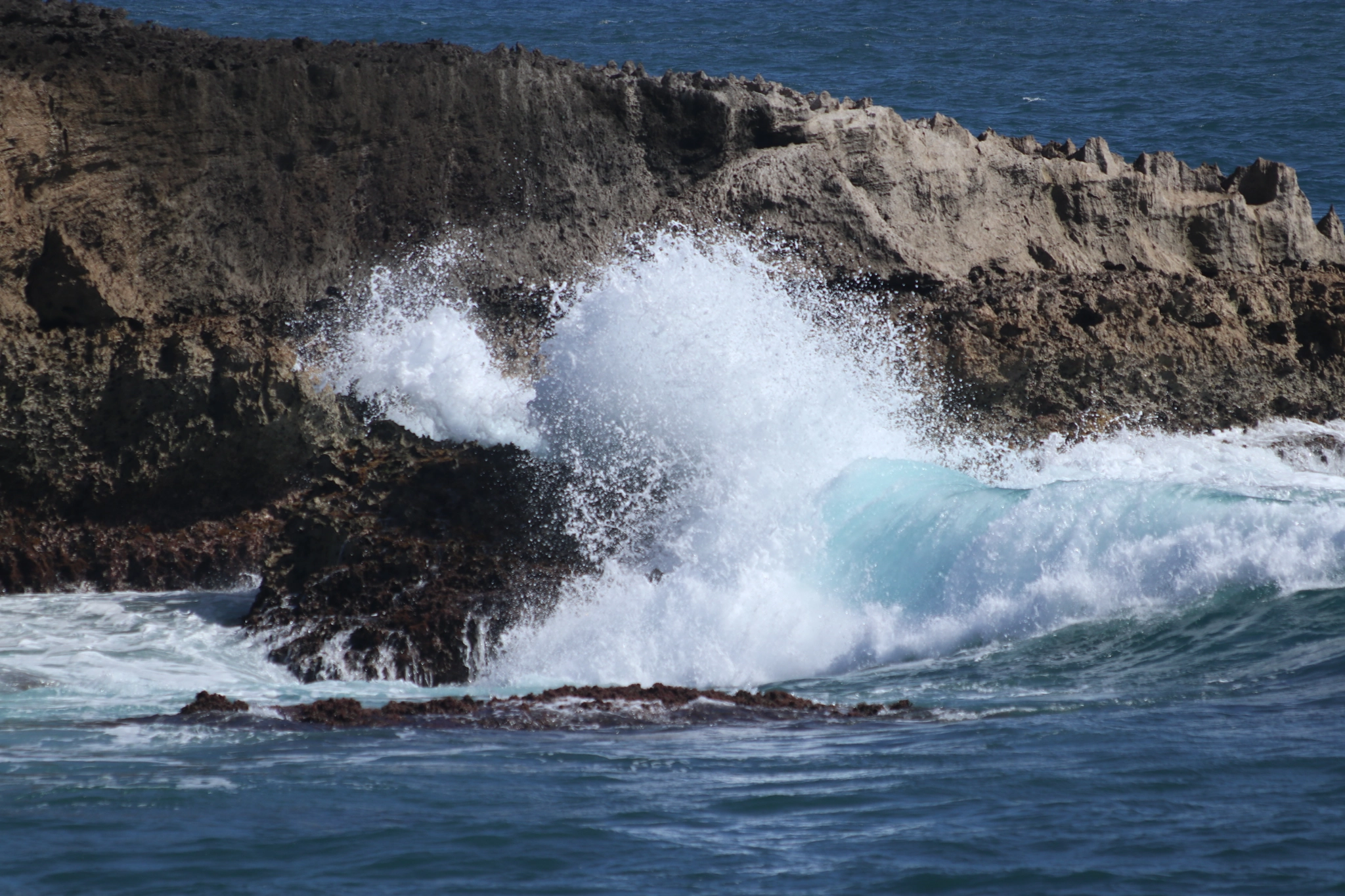 Canon EOS M5 + Canon EF 70-300mm F4-5.6 IS USM sample photo. Laie point photography