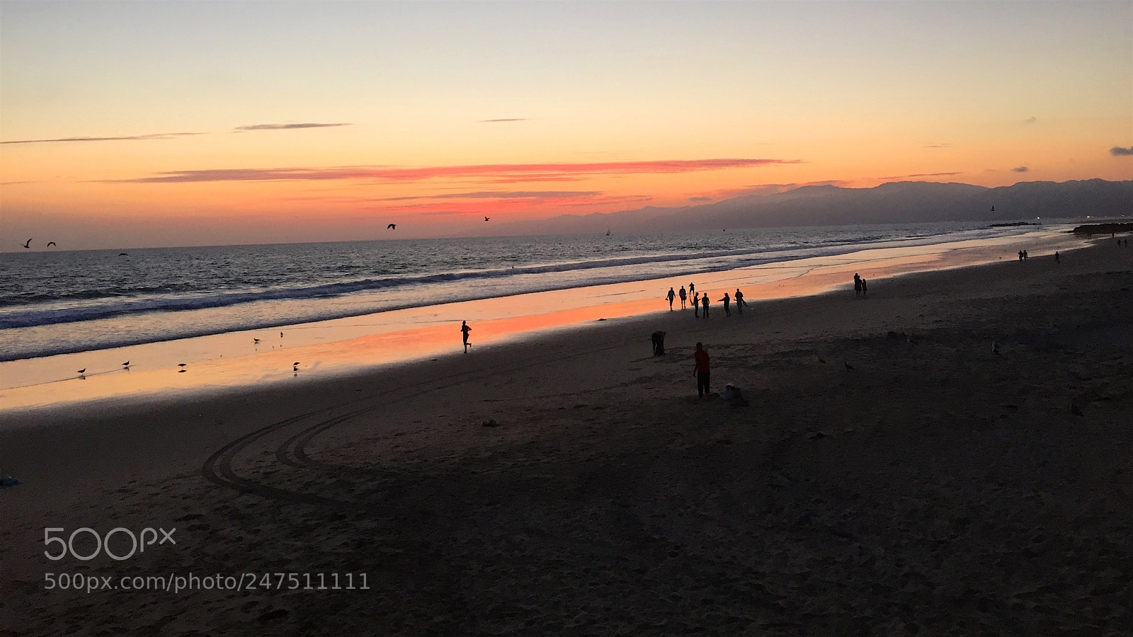 Apple iPhone 6 sample photo. Venice beach photography