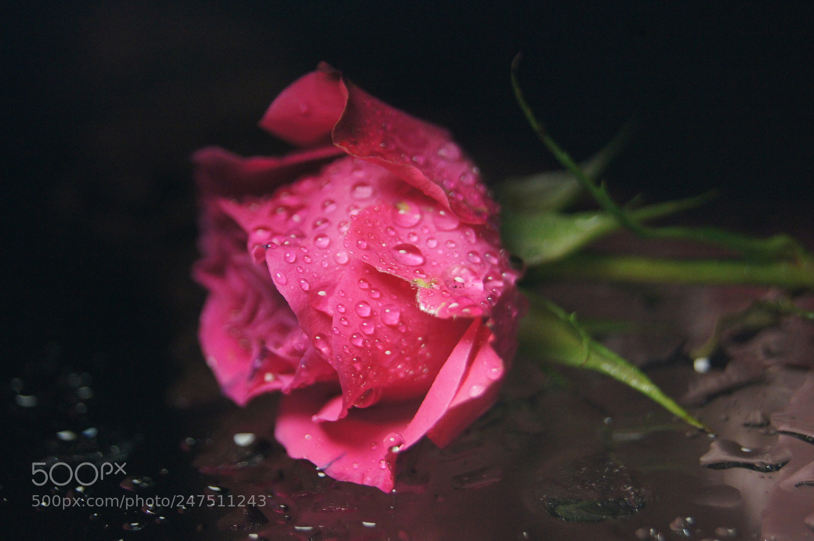 Sony Alpha DSLR-A580 sample photo. Her skin is like photography