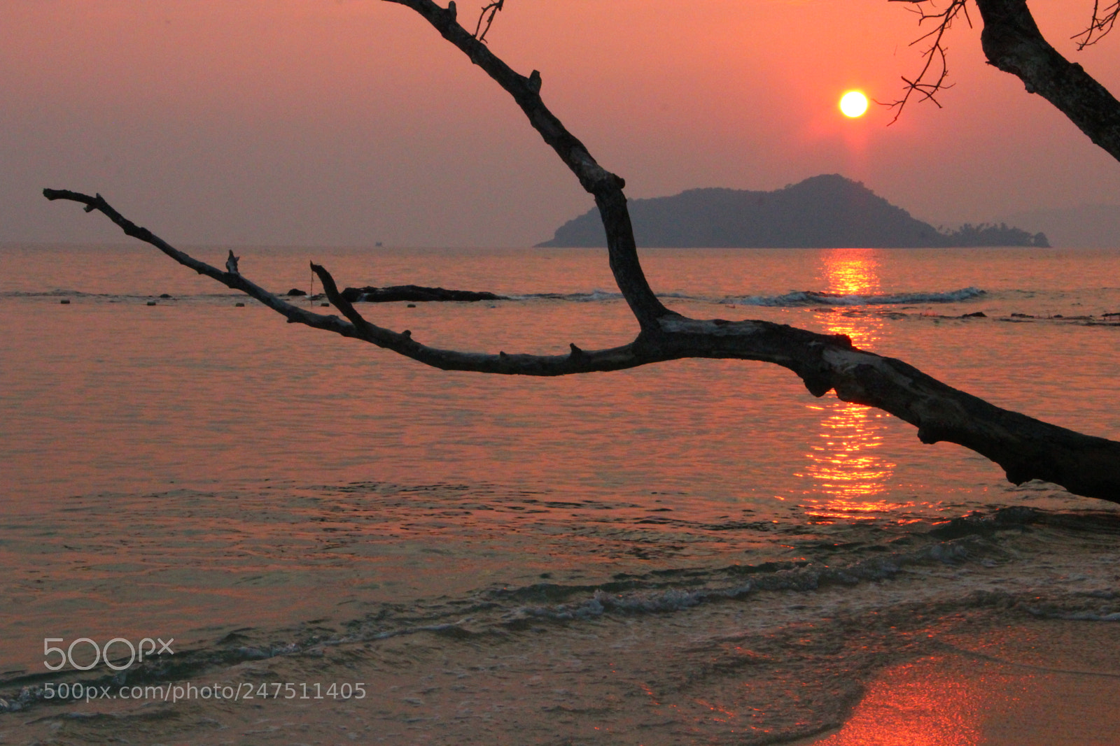Canon EF-S 18-135mm F3.5-5.6 IS sample photo. 0665 photography