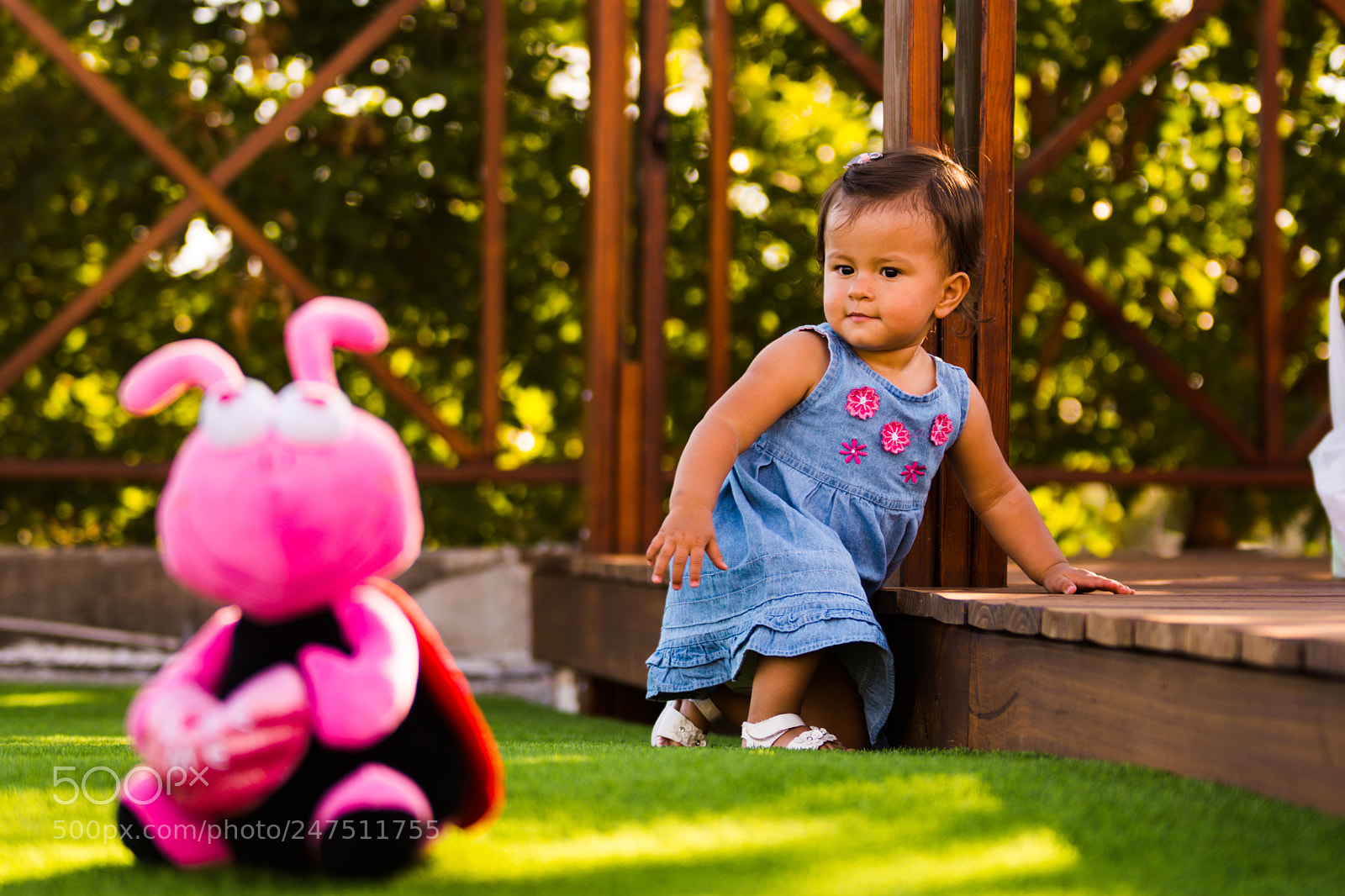 Nikon D7200 sample photo. Morena photography