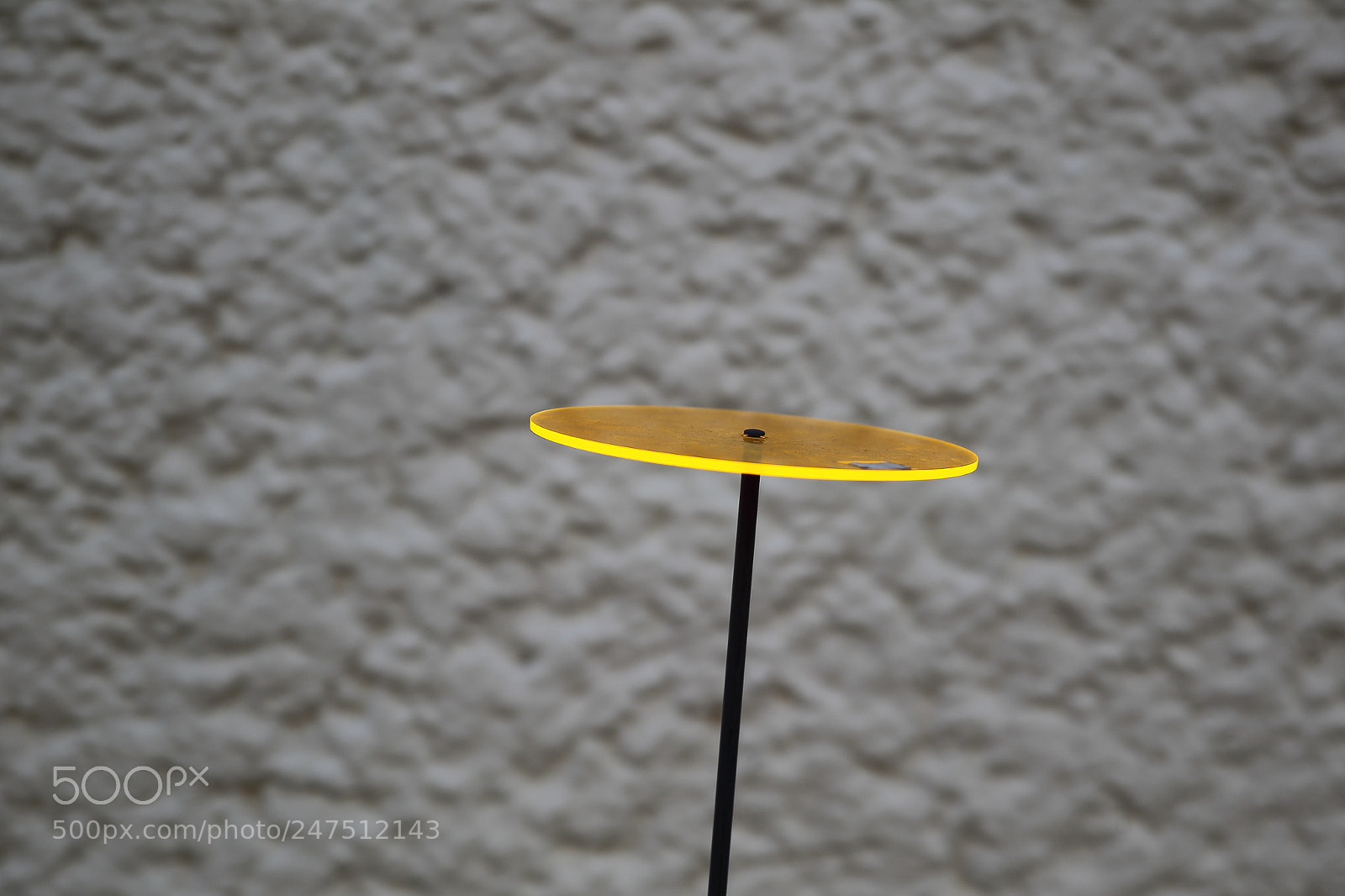 Canon EOS-1D Mark IV sample photo. Yellow poppy photography