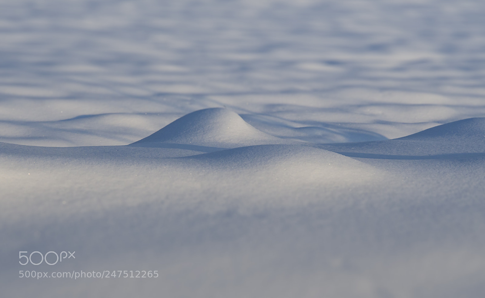 Nikon D500 sample photo. Snow texture photography