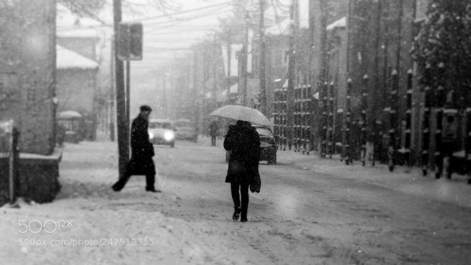 Olympus STYLUS1,1s sample photo. Winter scene xvii photography