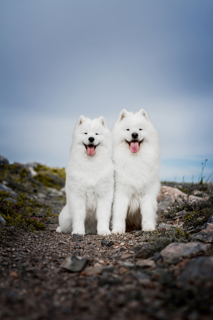 Charleen&Val by Alexandre Marques on 500px.com