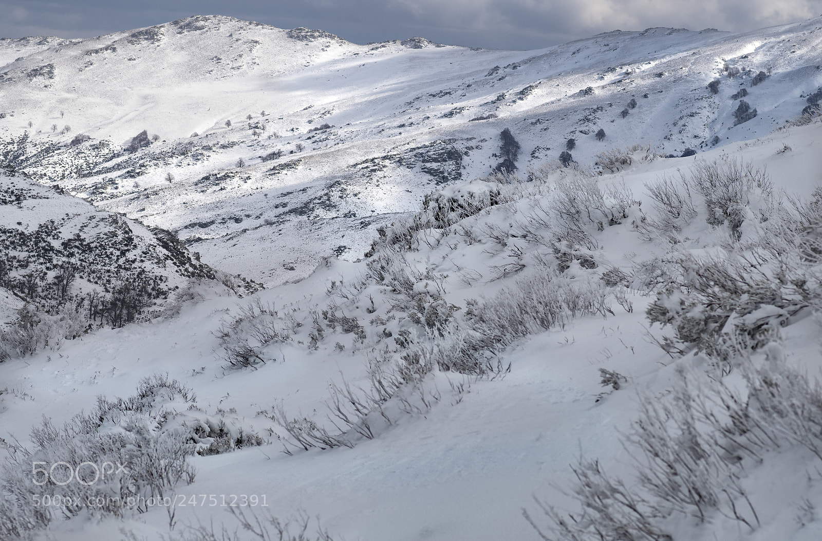 Pentax K-S2 sample photo. Monte spada photography