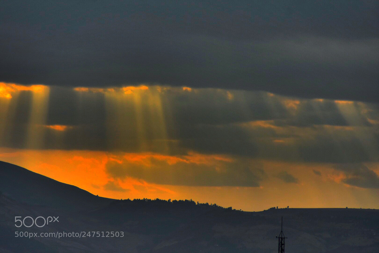 Nikon D7200 sample photo. This evening sunset photography