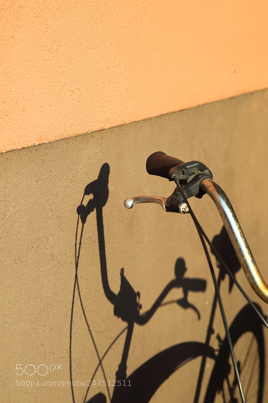 Canon EOS-1D Mark IV sample photo. Shadow that i cast photography