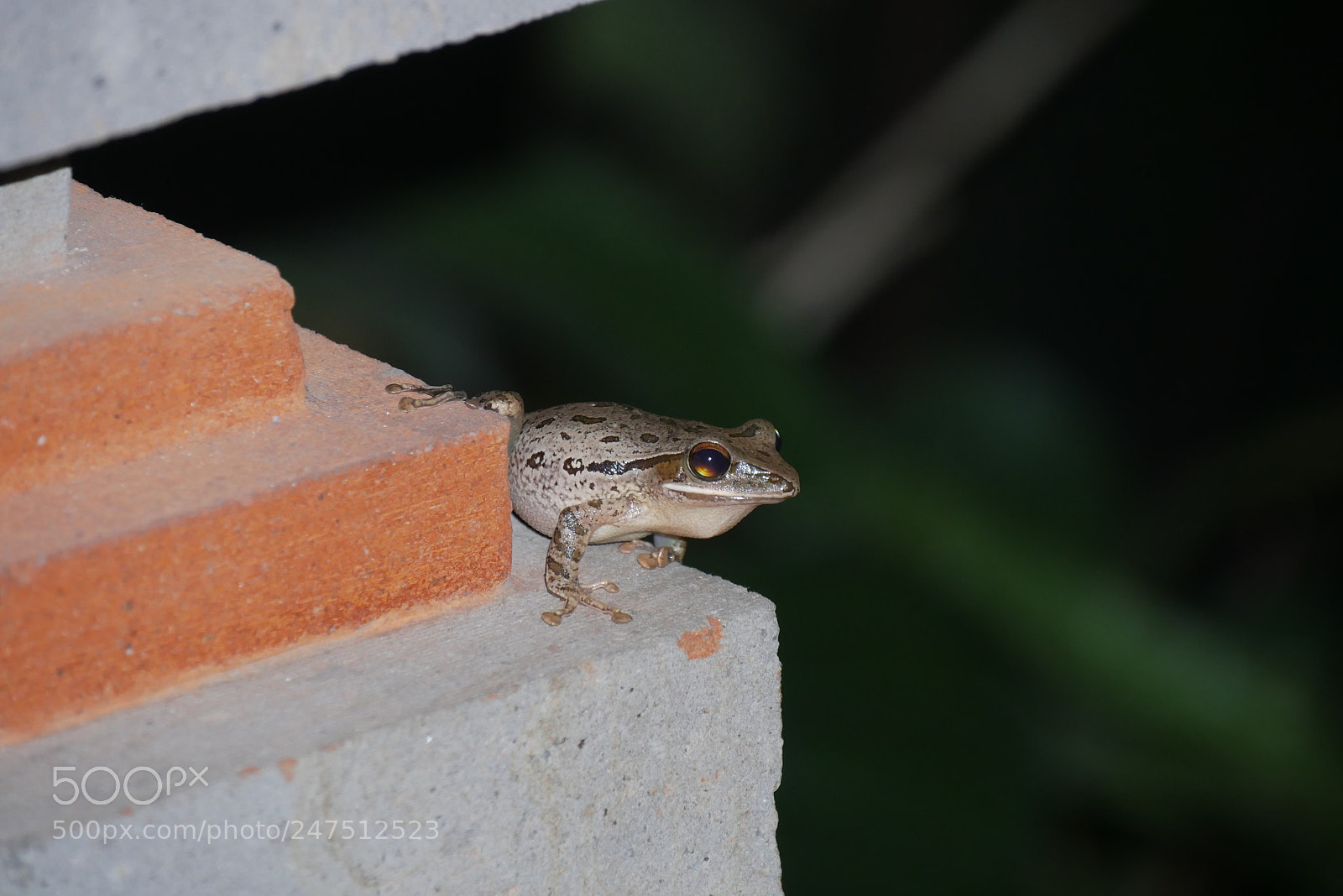 Panasonic Lumix DMC-GX85 (Lumix DMC-GX80 / Lumix DMC-GX7 Mark II) sample photo. Hm photography