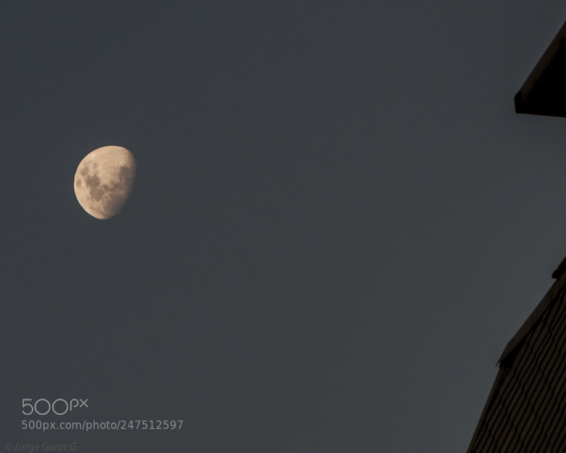 Nikon D700 sample photo. A crescent moon last photography