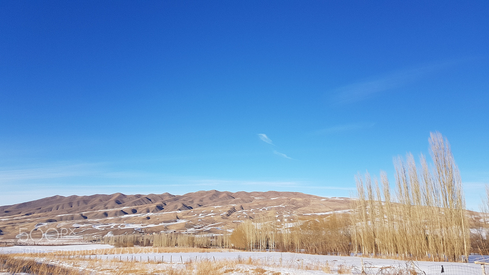 Samsung Galaxy S8 sample photo. Untitled photography