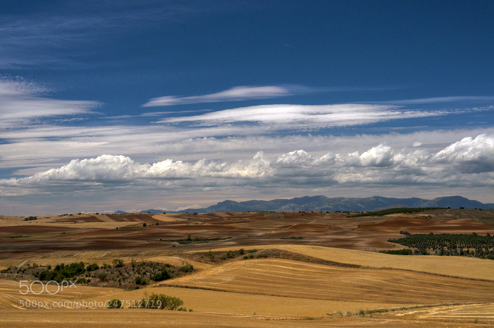 Nikon D90 sample photo. Jpg copia photography