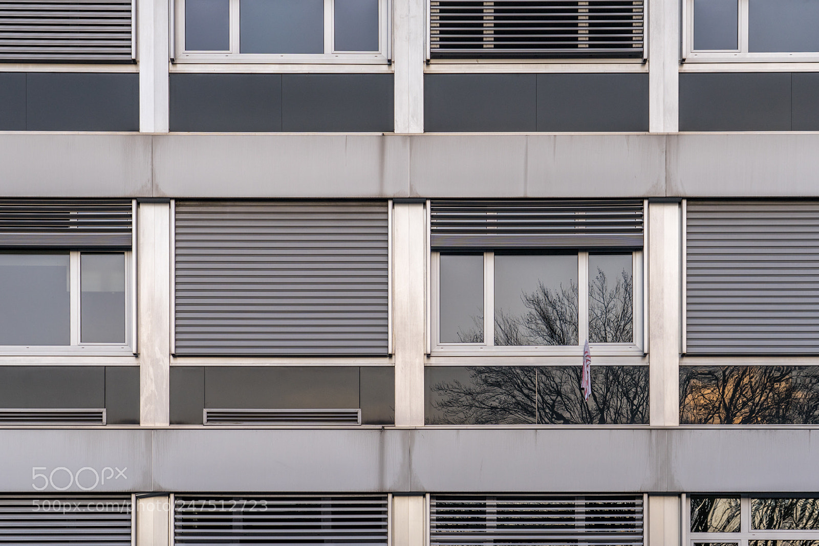 Sony a7 II sample photo. Reflet linge photography
